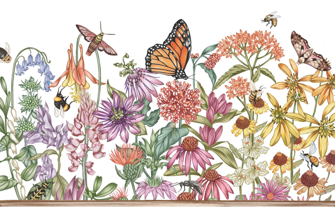 Program: Top Ten Tips to Protect Pollinators