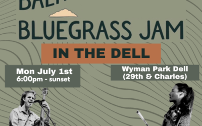 Bluegrass Jam in the Dell