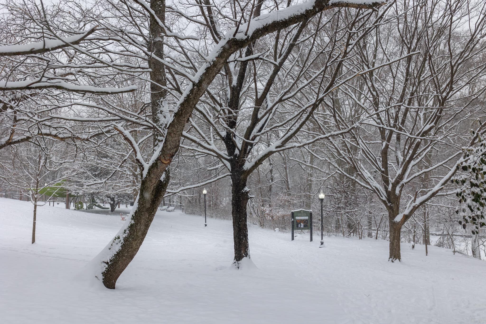 snowy park