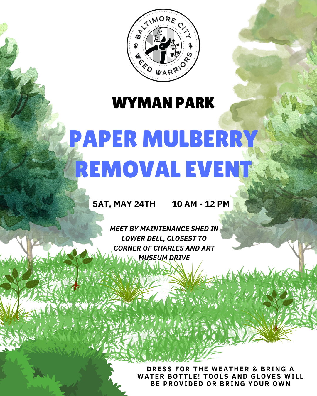 Weed Warrior Wyman Park (1)